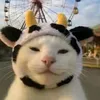 maikaaa631_