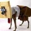 spongedog01
