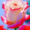 ramesh.lodh74