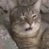 loosingcheeks