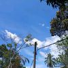 nintha_trg28