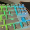 tigerpeek3