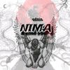 nima_qualitys