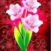 anthony.alona