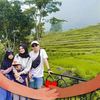 momfarabii
