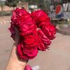 prety.doll30
