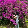 zin.nyein.win17