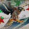 amear731