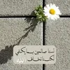 شمس حياتي🌺