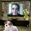 thierryseigneurin544