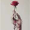 user8569761211812