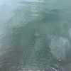 urfav_0820