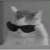 www.tiktok.adnan03