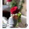user3561233381277