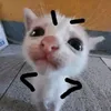 nqgjaakhjemm