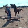 khalid.sd85