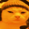 neforgaming