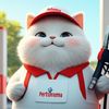 Chubbycat.id