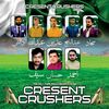 cricket lover