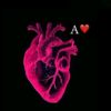 anlove815
