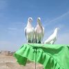 abdulsattarsatta331