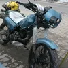 wellsilva34