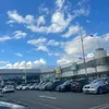 zuzu_x6