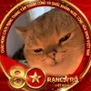 hong.v7881