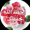 user6559570673591