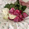 nadeen8187