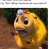 ok889537