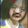 user3352454919273