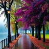 spiridon.ionut.an