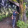 cebong.si.figuran