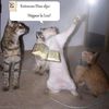 life_damasc