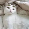 yury.kom0