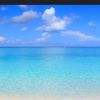 rayan.alhazeem