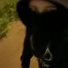 monnelyy