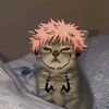 abdu_8942