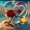 fatma.mohamed0337