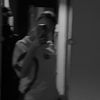 abigail_devries