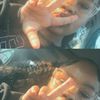 miaaalanaee._