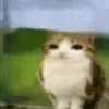 w3rtwy777