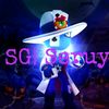 sglseruy