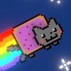meows144565