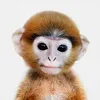 littlemonkey.45