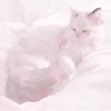 its_addiee3