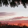 fan.de.ana.gastel46