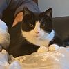 katkeeper15