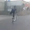 zxjdsipg0